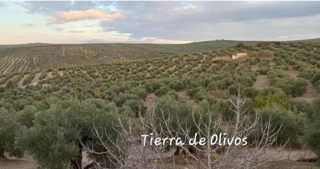 Alojamiento Vival Pineda Baeza Exterior photo
